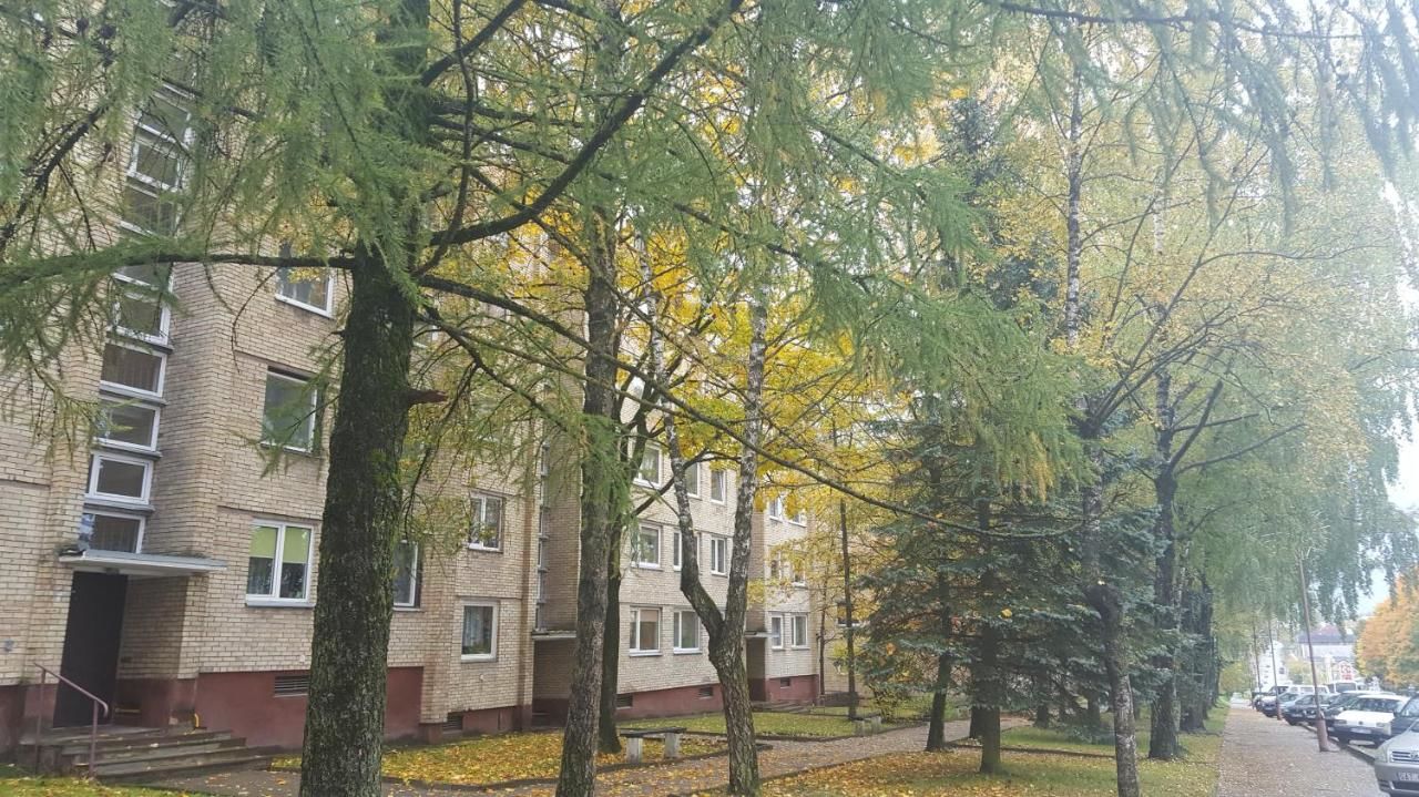 Апартаменты Apartamentai Vilniaus Street Шяуляй